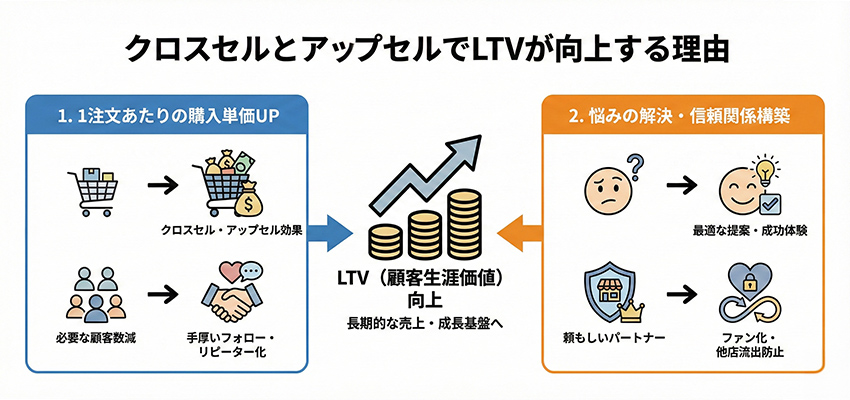 クロスセルとアップセルでLTVが向上する理由